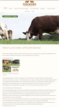 Mobile Screenshot of fleckviehstamboek.nl